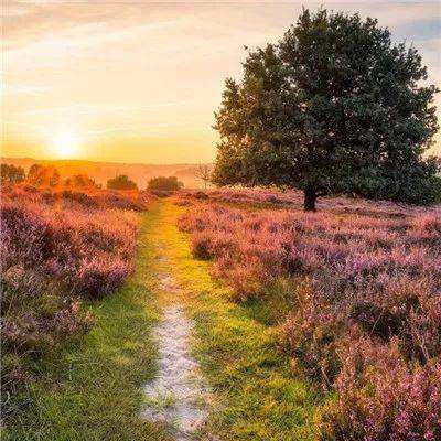 爱游戏下载手机版